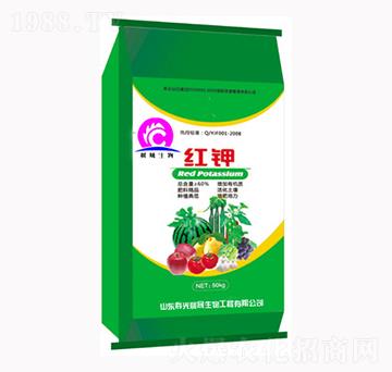 �t�-��������