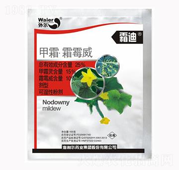 25%��˪��˪ù��-˪��-������