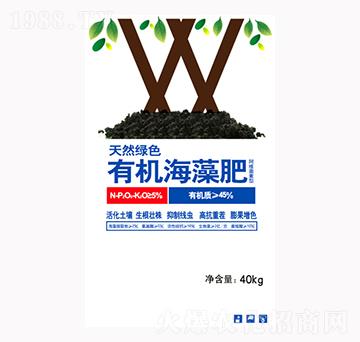 �ЙC�����-��M�}