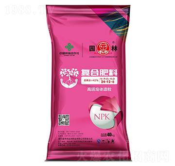 �ͺϷ���24-12-6-�@��-������