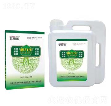 ������-��˼��