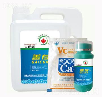 �w���Ǵ��}-��˼��