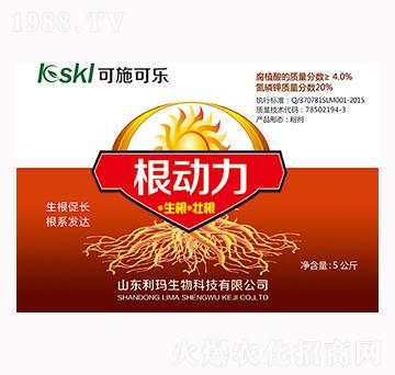 ����(d��ng)��-��ʩ�ɘ�(l��)-��������