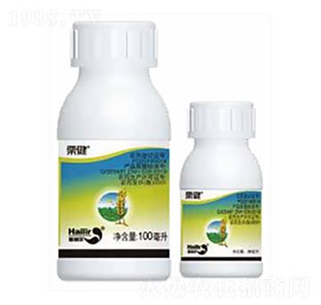 ����-������