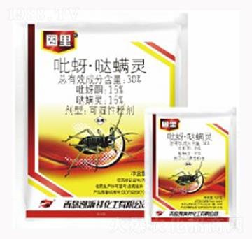 30%�����}���`-Ȧ��-������