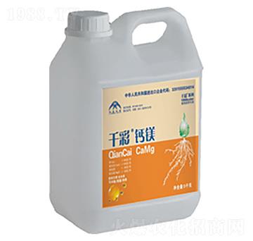 ǧ�ʡ��}�V-���r����