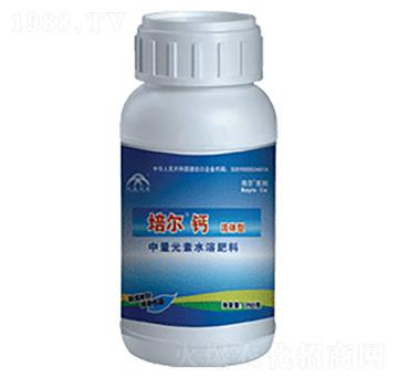 �ࠖ�}-���r����