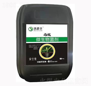 ΢�������-�и�-�����S