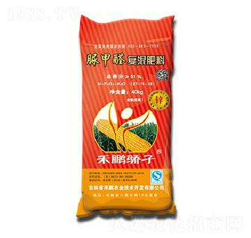 ���ȩ��(f��)�����27-11-13-���i���-���i�r(n��ng)�I(y��)