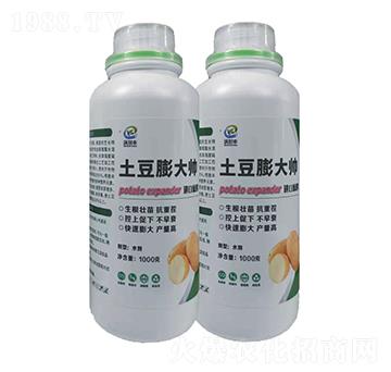 �������-�֠��S