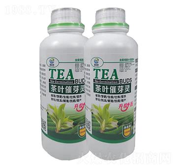 ���~��ѿ�`-�֠��S