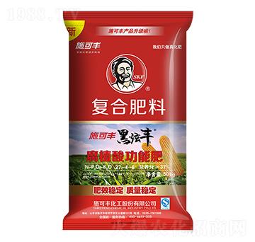 ���׌�(zhu��n)�Ï�(f��)�Ϸ���27-4-6-�����S-ʩ���S