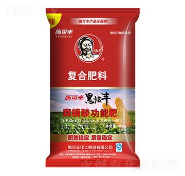 ���׌��Ï�(f��)�Ϸ���20-14-6-�����S-ʩ���S