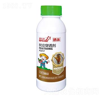 ͸����Ƥ��͸��-�����