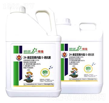 24-���|̦�؃�(n��i)����S-�T����-�G��-������r(n��ng)