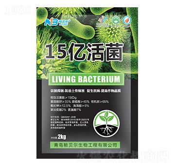 15�|���-��ؐ��