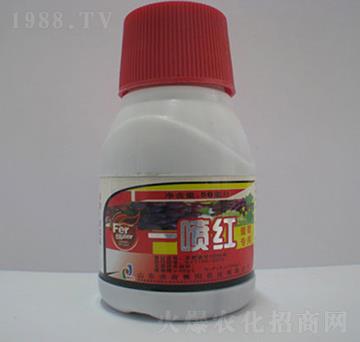 ���ь����~���-һ���t