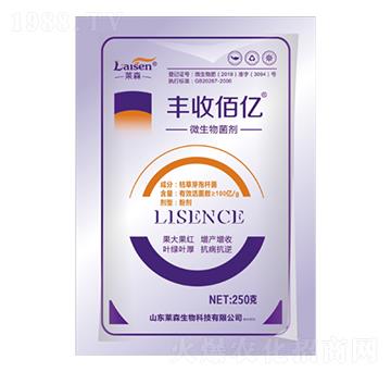 100�|΢�������-�S�հۃ|-�Rɭ����