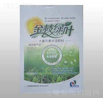 ����Ԫ��ˮ�ܷ���-��֦