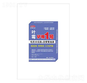 �~ù���P��1̖-(li��n)�r(n��ng)���S��