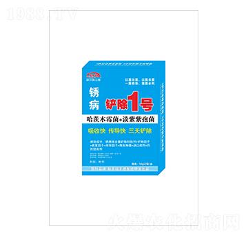 �P���P��1̖-(li��n)�r(n��ng)���S��