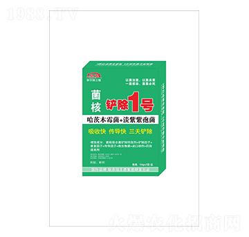 ���˲��P��1̖-(li��n)�r(n��ng)���S��