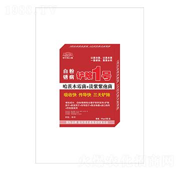 �׷��P���P��1̖-(li��n)�r(n��ng)���S��