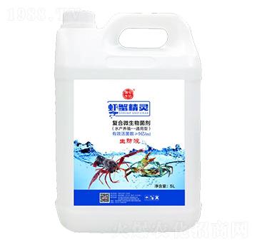 ��(f��)��΢�������-�rз���`-¡������