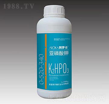 �������-�����_-�Ɲ��r(n��ng)��