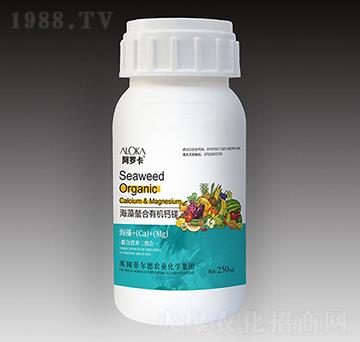 ���������ЙC�}�V-�����_-�Ɲ��r(n��ng)��