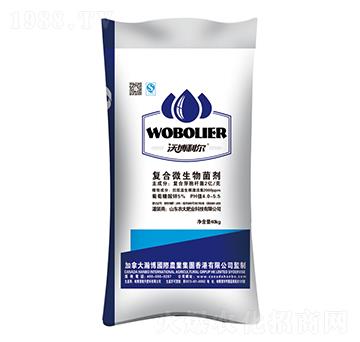 �ͺ�΢�������-¡������