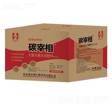 �ٸ�����ʹ���Ԫ�ؑҸ�����-̼����-����̼����