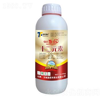 ʮ��Ԫ��-�~����-���S����