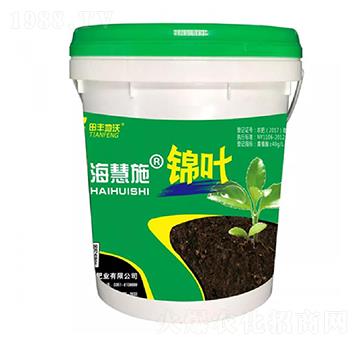 �\�~-����ʩ-���S����