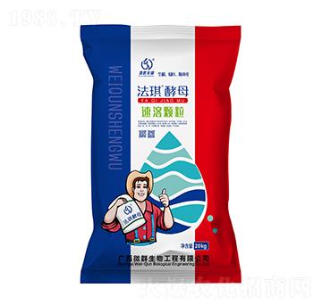 ������ĸ�����w��-΢Ⱥ