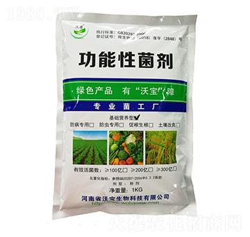 ���A(ch��)�I�B(y��ng)�͹����Ծ���-�֌�����