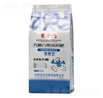 ����Ԫ��ˮ�ܷʣ������΢��Ԫ�������ͣ�19-19-19-�ۺϾW(w��ng)-���o(j��)����