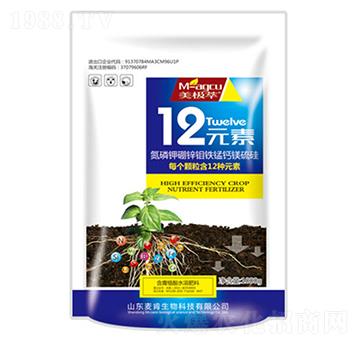 12Ԫ��-��������