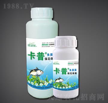 ����������ø���~����-�G�����