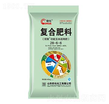 ��(f��)�Ϸ���28-6-6-�W��