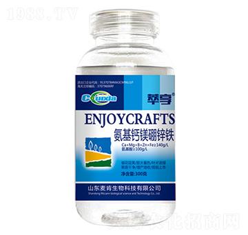 �������V���F�\-��������