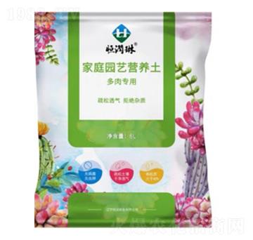 ���⌣�ü�ͥ�@ˇ�I�B(y��ng)��-�㝙�r�I(y��)