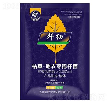 �ݲݡ�����ѿ�ߗU��-����(x��)-�������r(n��ng)