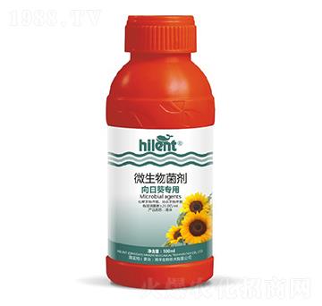 ���տ�����΢�������-���{��