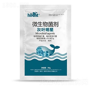 ΢�������-���~����-���{��