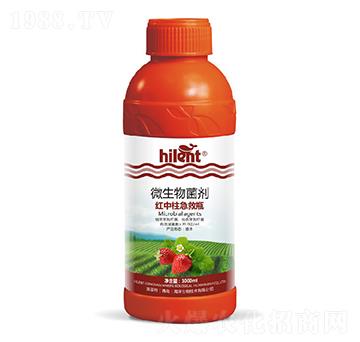 ΢�������-�t��������ƿ-���{��