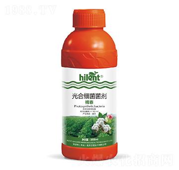 ��ϼ�������-��̩-���{��