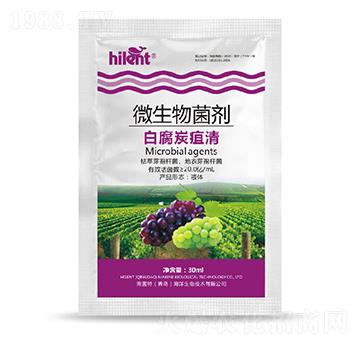 ΢�������-�׸�̿����-���{��