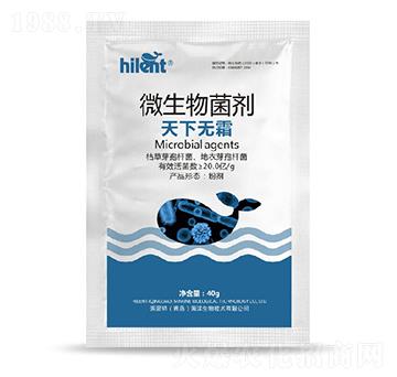 ΢�������-���o˪-���{��