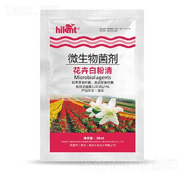 ΢�������-���ܰ׷���-���{��